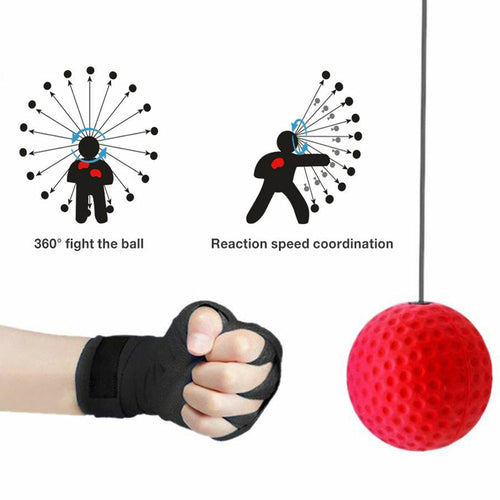 Boxing Reflex Ball Speed Ball with Headband